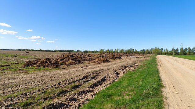 A country road with grassy shoulders and tire tracks leads into the forest. A power line runs nearby. There is an agricultural field near the road. Many piles of manure lie on it. Sunny spring weather