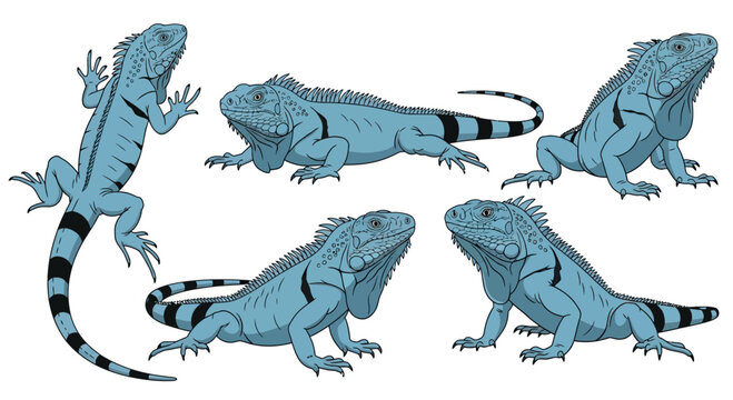 Blue iguanas in various poses and angles with detailed features  