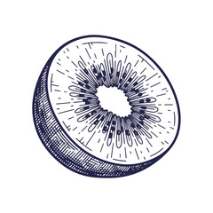 Obraz premium Kiwi slice illustration showcasing fresh fruit, simple yet elegant. Kiwi slice detailed with intricate line work and texture, capturing nature's beauty, isolated against white.