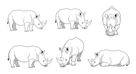 Fototapeta premium Outline illustrations of white rhinoceros in various poses 