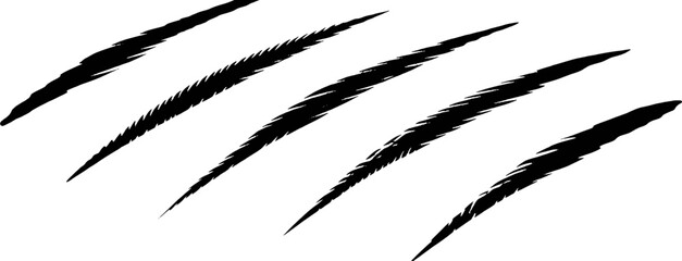 Black claw marks on white background scratch