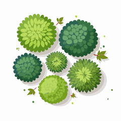 An overhead view of various stylized green bushes and plants with different leaf textures, arranged in a circular composition on a white background.