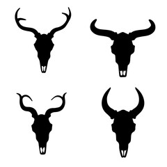 Animal skulls with distinctive horns on white background