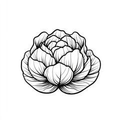 Obraz premium Elegant black and white flower drawing