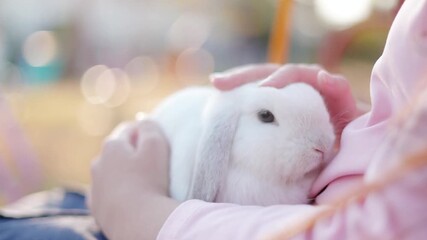 A child lovingly holds a fluffy white bunny rabbit - Powered by Adobe