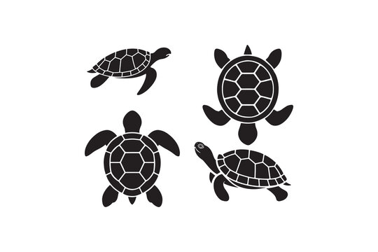 Sea Turtle Silhouette Vector Icon Set