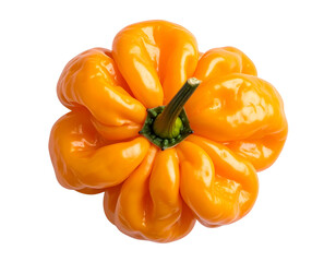   Top-Down View of Orange Habanero Pepper with Wrinkled Skin Texture, Transparent PNG