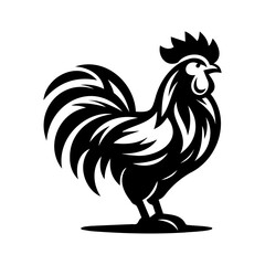 Rooster isolated on a white background