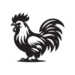 Rooster isolated on a white background