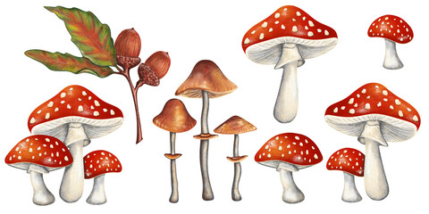 Autumn clipart with mushrooms and leaves