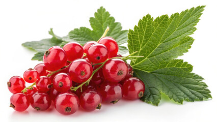 Close-Up of Fresh Red Currants with Shiny Skin and Green Leaves &ndash; Organic Berry Fruit
