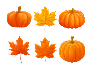 illustrations set of Pumpkins and maple leaves isolated on a transparent background