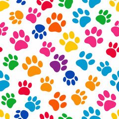 Fototapeta premium pattern with colorful paw