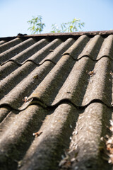 A close up of a roof with moss growing on it