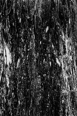 black and white textured gritty background