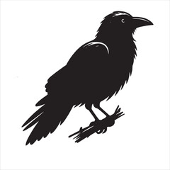 Obraz premium Crow svg
