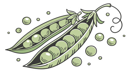 freshly picked peas in an open pod