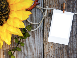 Overhead flatlay image of rustic plank weathered wood table with sunflower and a vintage empty picture transparent photo frame cutout on twine and clothespin. Country setting.