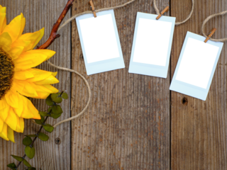 Overhead flatlay image of rustic plank weathered wood table with sunflower and three empty vintage picture transparent photo frames cutout on twine and clothespins. Country setting.