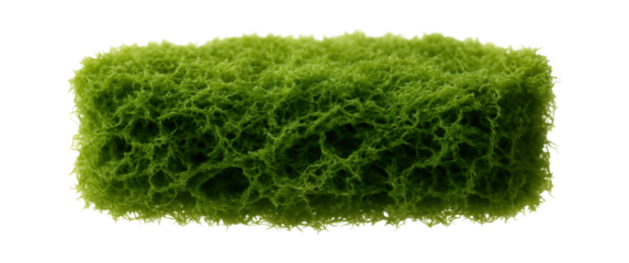 Fragment of peat moss with spongy texture and vibrant green color