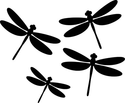Black dragonfly silhouettes with four wings and segmented bodies insect