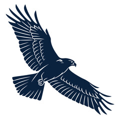 Ailhoutte of a hawk in flight