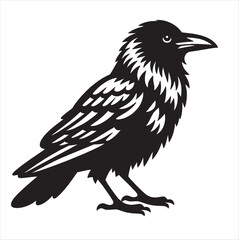 Fototapeta premium Crow svg