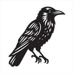 Fototapeta premium Crow svg