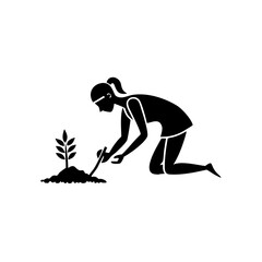 woman bending to harvest turmeric root from ground