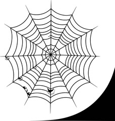 Black spider web with spooky eyes and abstract background white