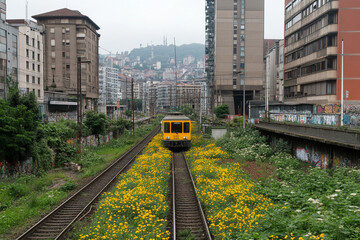 Freight train moves through wild tracks and cityscape