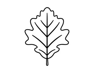 Fototapeta premium Oak leaf outline icon vector, perfect for botanical designs, educational materials, and minimalist autumn-themed graphics or eco-friendly branding projects.