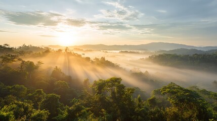 Serene sunrise over misty hills, golden light cascading through trees, tranquil nature setting inviting reflection and calm.