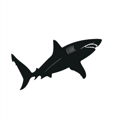 Obraz premium Silhouette of a shark (2)