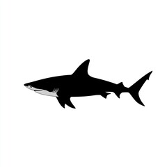 Fototapeta premium Silhouette of a shark (1)