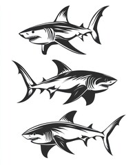 Fototapeta premium Three sharks in a vintage style