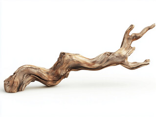 Gnarled wooden branch isolated on white background