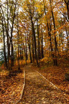 Dundas Valley Conservation Area.  Hiking trail in autumn.  Niagara Escarpment, Dandas, Hamilton, Ontario, Canada