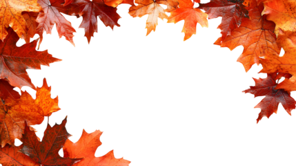 fall leaves border png
