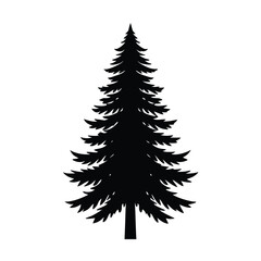 Fototapeta premium Evergreen Pine Tree In Tranquil Woodland Scene Line Art Vector illustration
