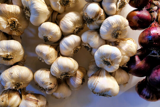 Close up of a completed home grown garlic plaits hanging up in a kitchen
