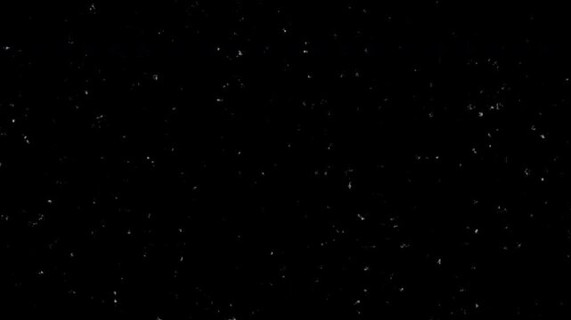 Rotate Your Phone sign animation on Black Background