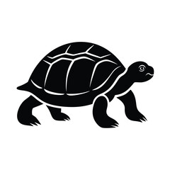 Fototapeta premium Turtle Walking Slowly On Sandy Beach Shore Line Art Vector illustration