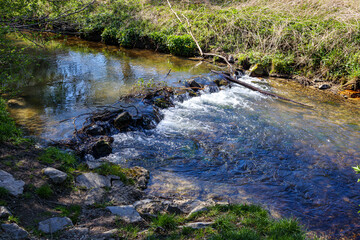 Water flowing over stones forming a small waterfall in Gulp River, wild green grass on bank and in the background, low water levels, sunny day in Gulpen, South Limburg in the Netherlands