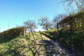 Hill with closed path with broken and fallen wire fence, orchard with bare trees against blue sky in background, sunny day with a blue sky in the Netherlands