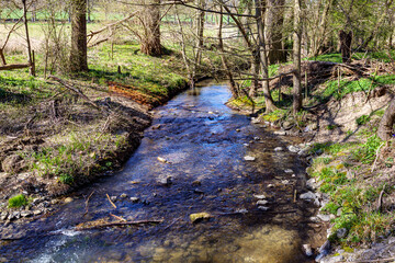 Gulp River with low water levels flowing quietly between stones, surrounded by abundant bare trees, reflection in water surface, spring sunny day in Gulpen, South Limburg, Netherlands