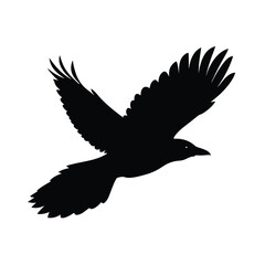 Obraz premium Single Crow Soaring High Through Peaceful Sky Line Art Vector illustration