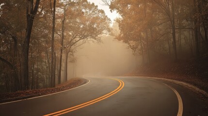 Winding road through a foggy autumn forest.