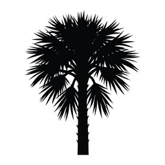 Majestic Palm Tree Silhouette Black and White Image