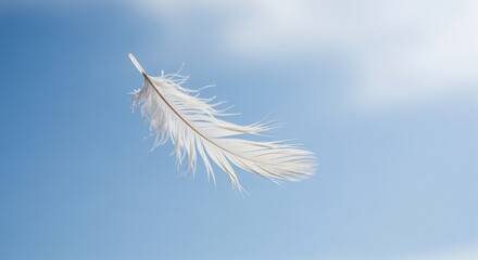 White Feather Floating Gently Against a Blue Sky